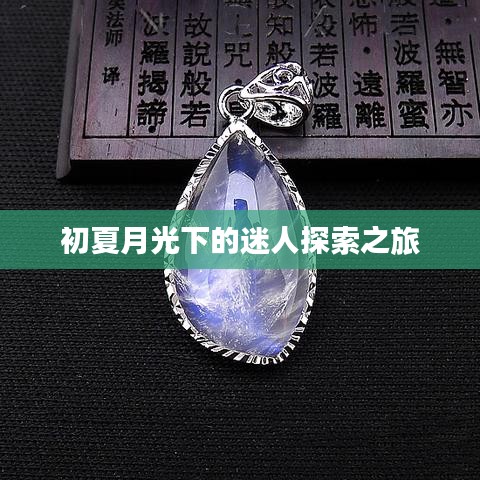 初夏月光下的迷人探索之旅