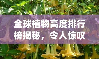 全球植物高度排行榜揭秘，令人惊叹的巨型植物之王