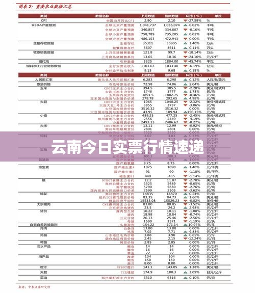 云南今日实票行情速递