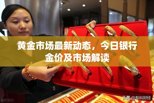 黄金市场最新动态，今日银行金价及市场解读