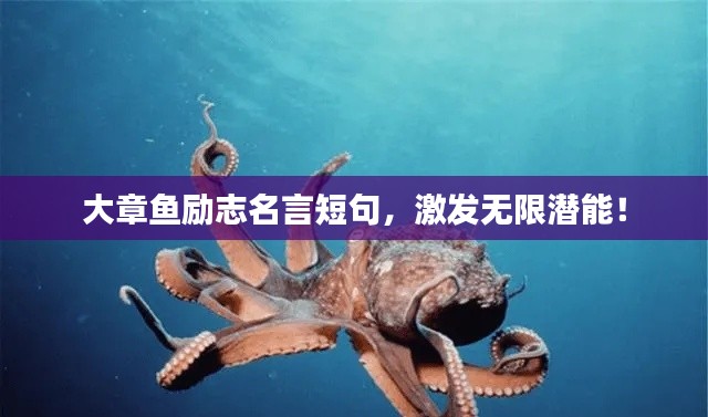 大章鱼励志名言短句，激发无限潜能！