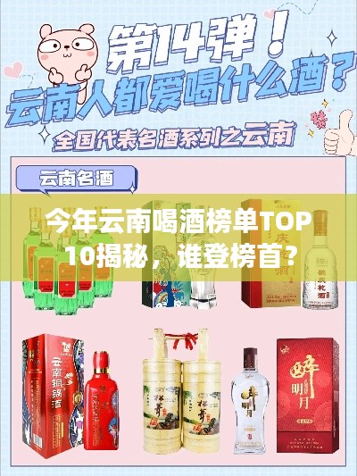 今年云南喝酒榜单TOP10揭秘，谁登榜首？