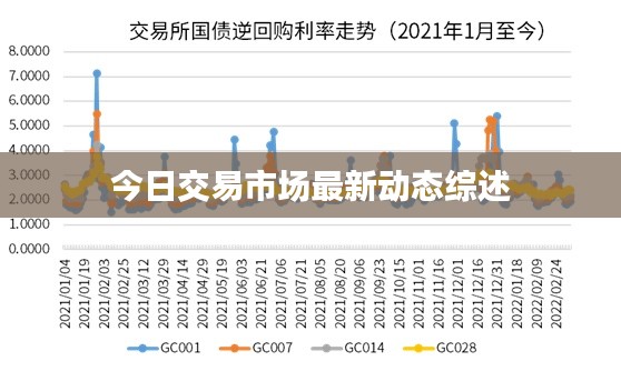 今日交易市场最新动态综述