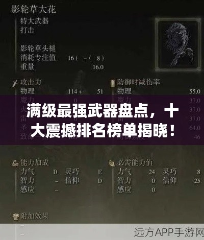 满级最强武器盘点，十大震撼排名榜单揭晓！