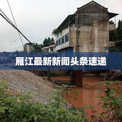 雁江最新新闻头条速递