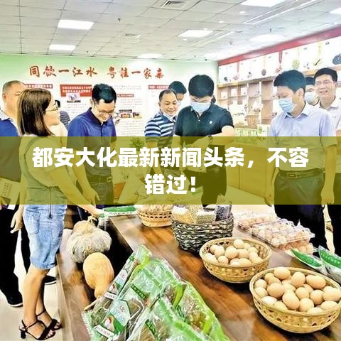 都安大化最新新闻头条，不容错过！