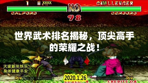 世界武术排名揭秘，顶尖高手的荣耀之战！