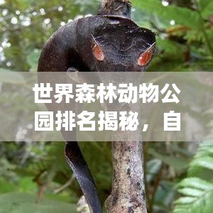 世界森林动物公园排名揭秘，自然魅力的展现