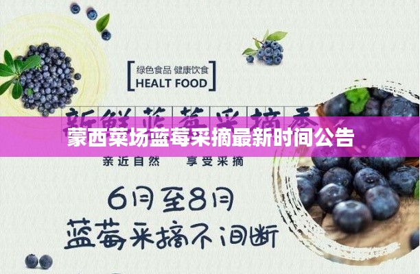 蒙西菜场蓝莓采摘最新时间公告