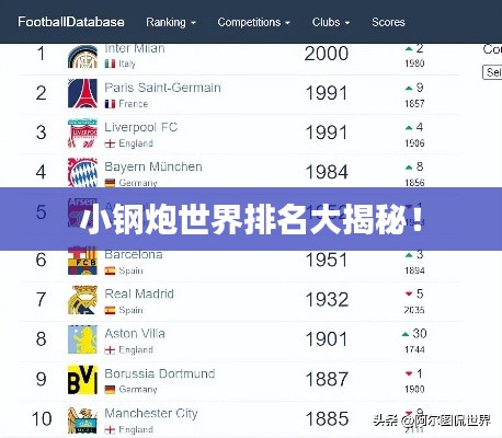 小钢炮世界排名大揭秘！