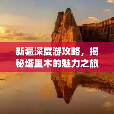 新疆深度游攻略，揭秘塔里木的魅力之旅