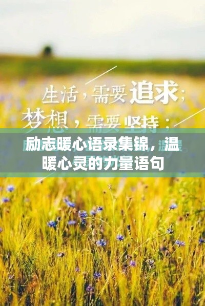励志暖心语录集锦，温暖心灵的力量语句